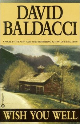Wish You Well | David Baldacci (pre-loved)
