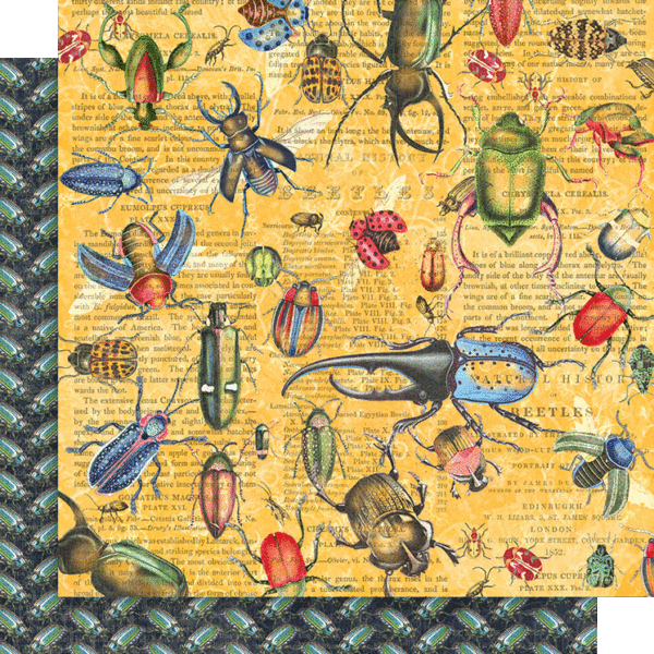 Flutter • Graphic 45 Keepsake Edition Kit