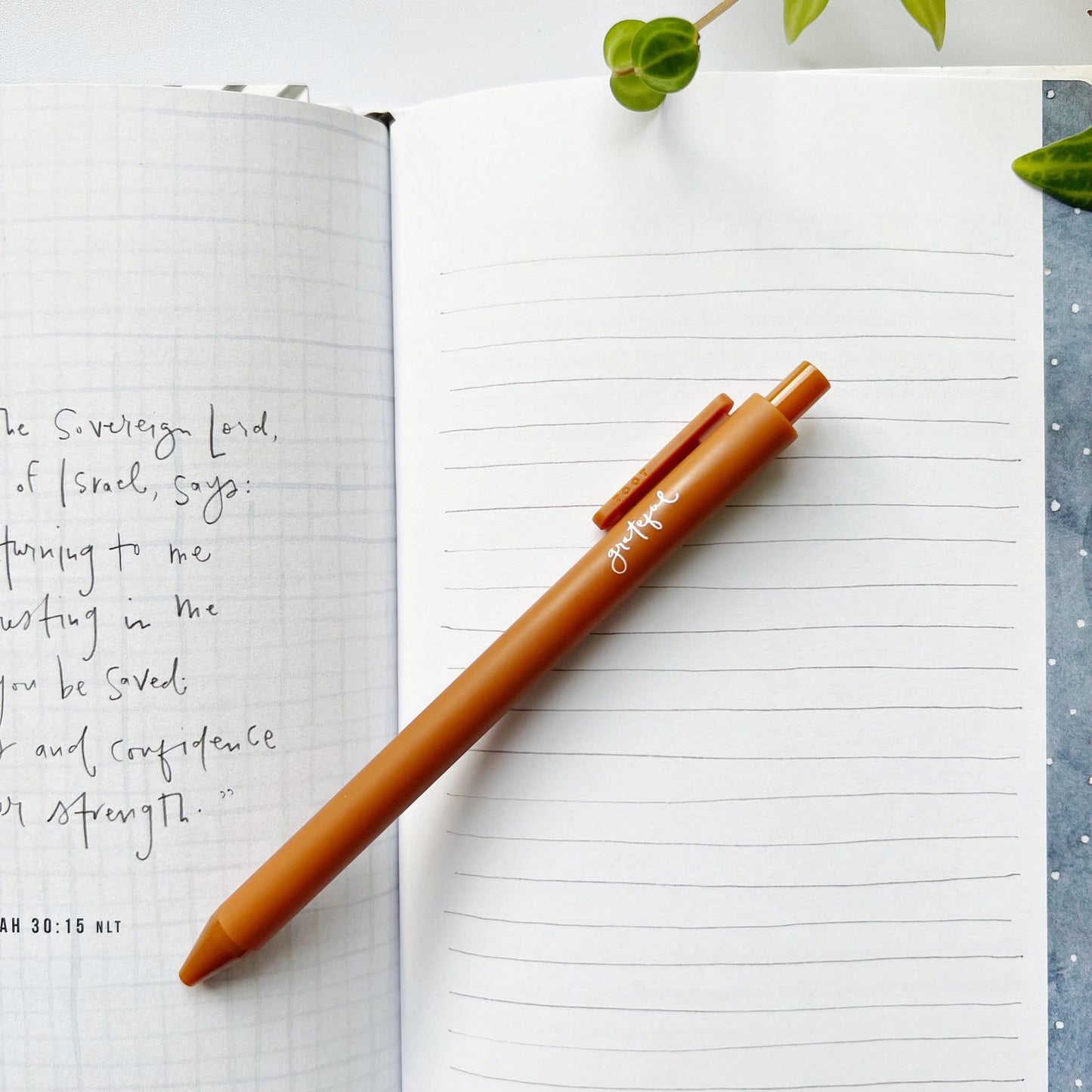 Jotter pen • Emily Alex