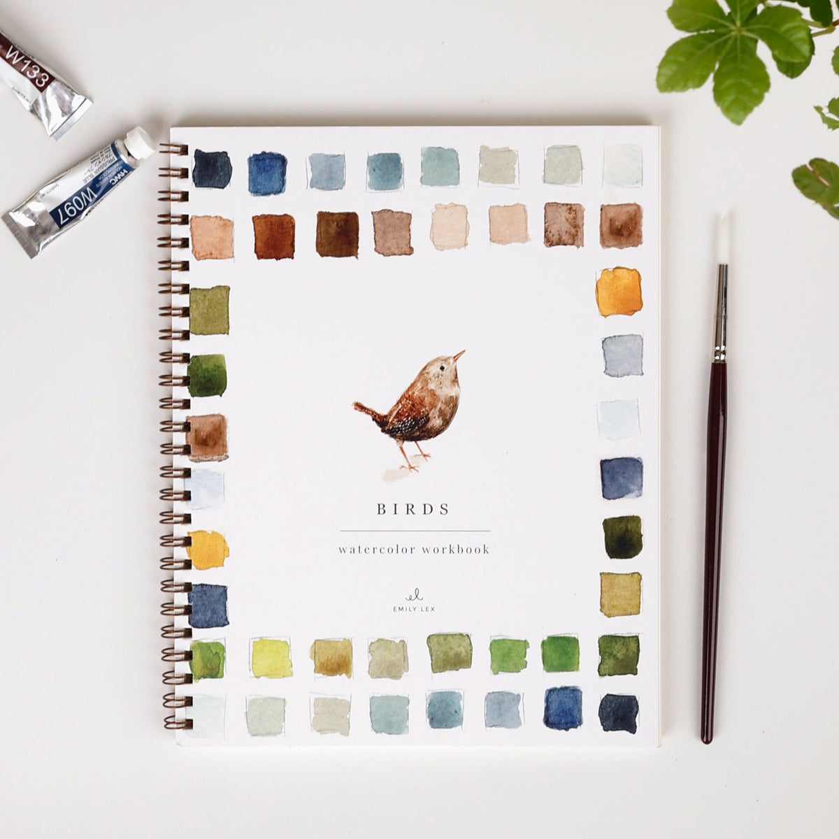 Emily Lex Birds Watercolor Workbook