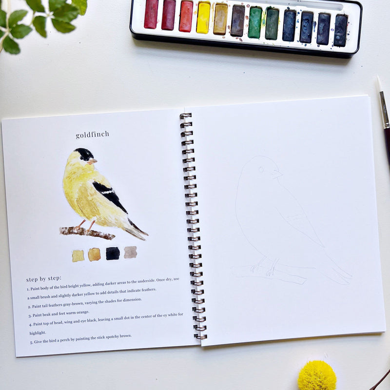 Emily Lex Birds Watercolor Workbook